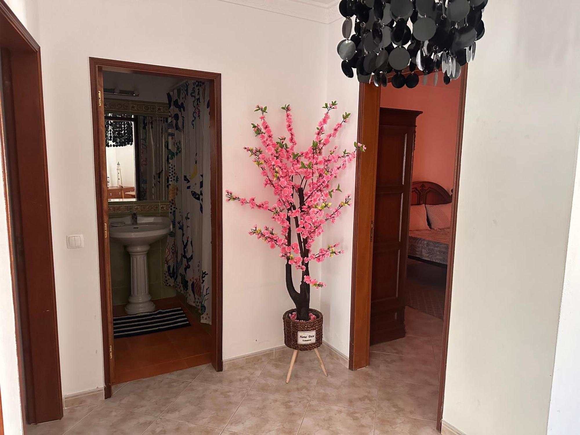 Dream House Near The Beach Porches  Εξωτερικό φωτογραφία
